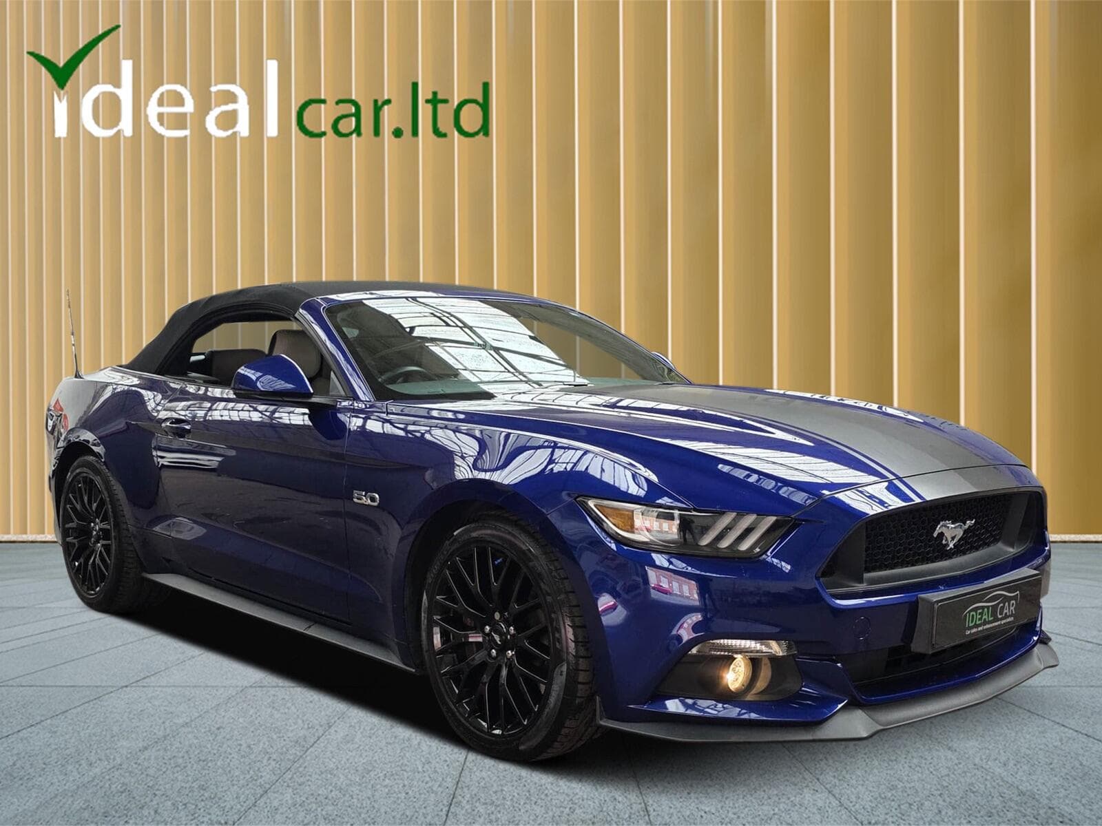 2016 Ford Mustang - Thumbnail 5