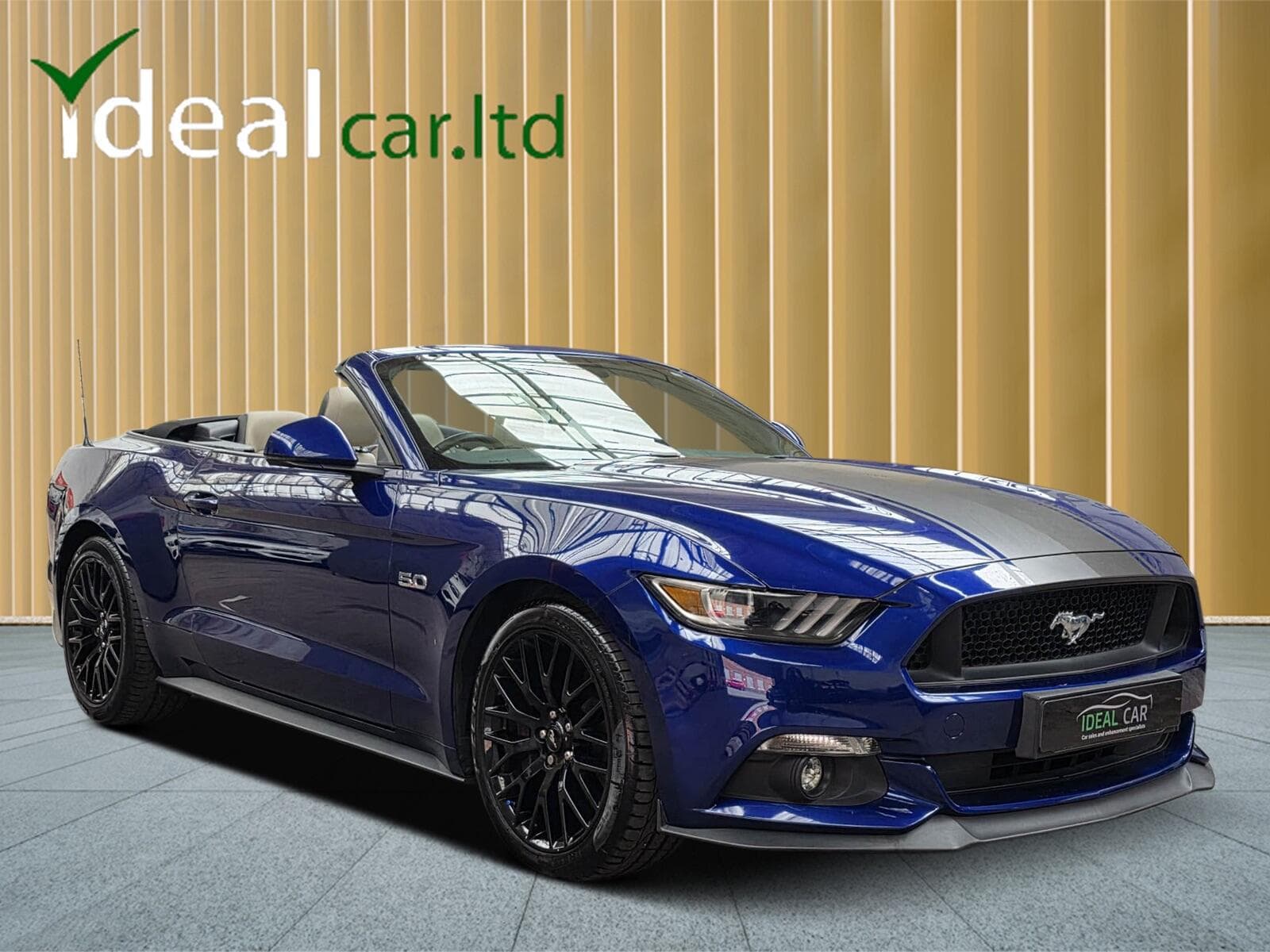 2016 Ford Mustang - Thumbnail 10