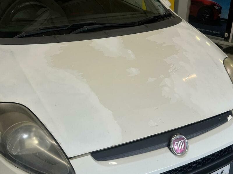 2010 Fiat Punto Evo - Thumbnail 17