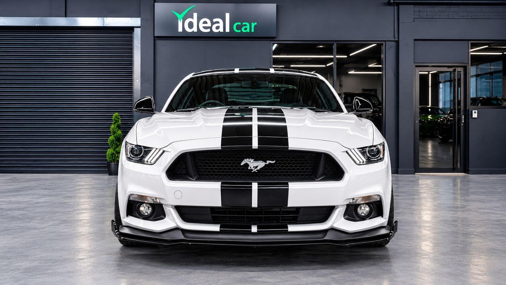 2016 Ford Mustang - Thumbnail 3